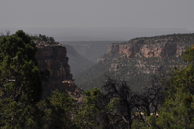 canyon view from Wetherill Mesa